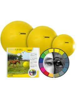 paardenspeelgoed Luiaard - Stal & rijbak - Paardensport