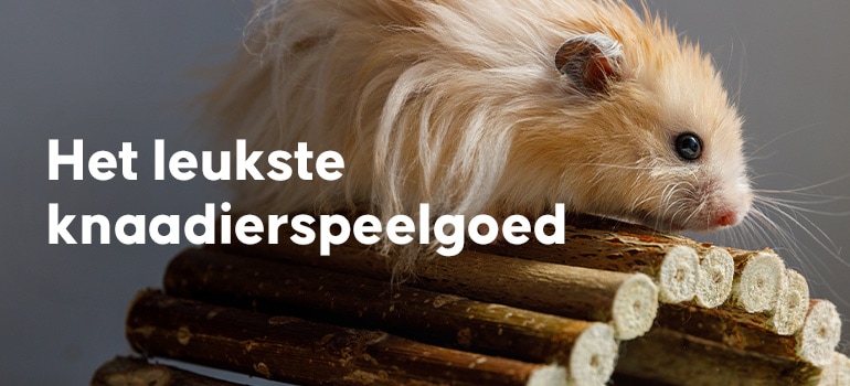 Hamster Eekhoorn Tanden Slijpen Minerale Steen Chinchilla Konijn Kooi Accessoires Deft En Mode