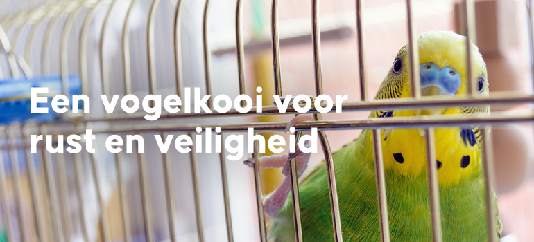 Vogelkooi